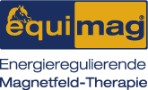 Equimag Magnetic Field Therapy