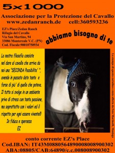 5xmille